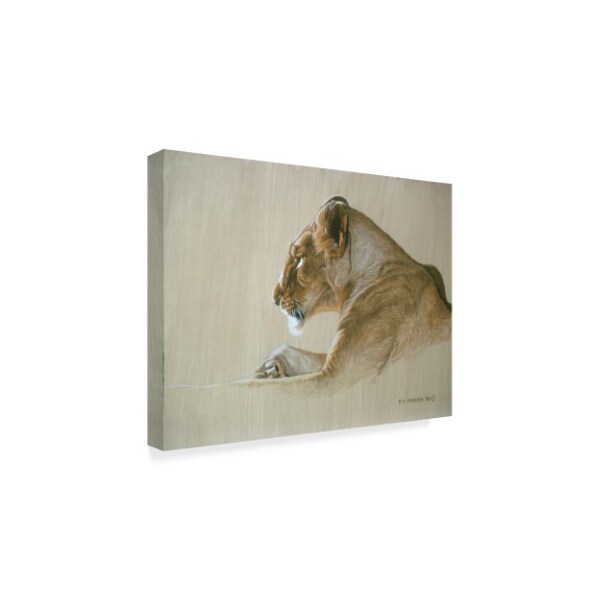 Ron Parker 'Lioness' Canvas Art,18x24